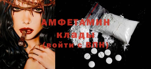 индика Наволоки