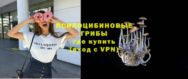 индика Наволоки
