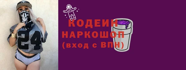 индика Наволоки