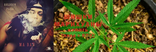 Альфа ПВП Надым